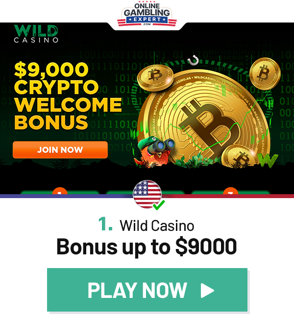 best crypto casino wild casino