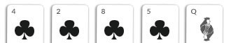 flush card hand omaha