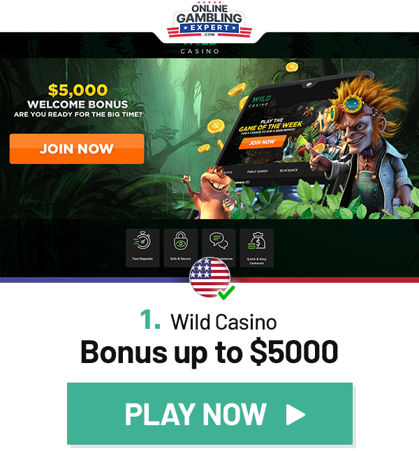 real money slots site wild casino