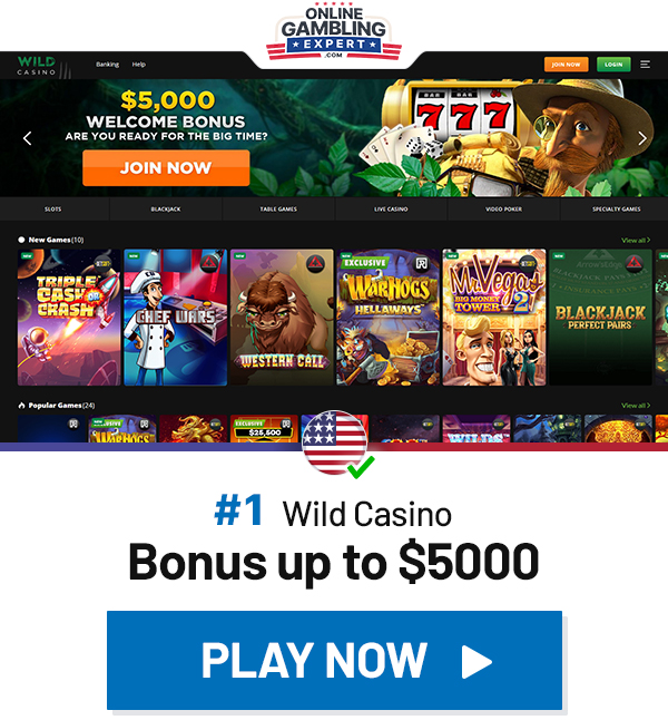 best usa online casino site wild casino